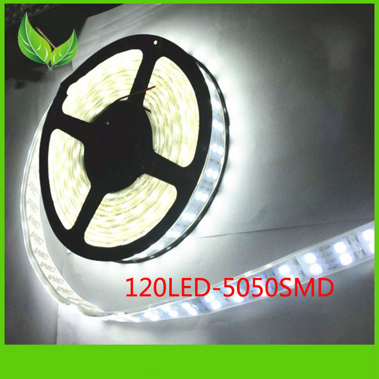 5918d817ac0ad1c9f471db5bb5562b4e